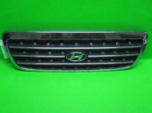 Radiator Grille HYUNDAI Trajet (FO)