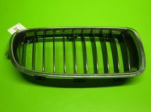 Radiateurgrille BMW 3er (F30, F80)