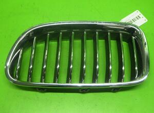 Radiator Grille BMW 5er Touring (F11)