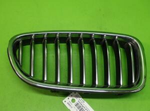 Radiator Grille BMW 5er (F10)