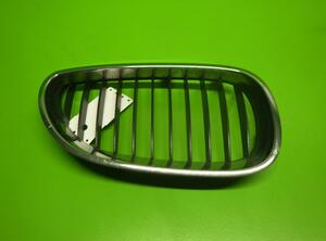 Radiator Grille BMW 5 Touring (E61)