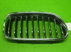 Radiateurgrille BMW 5 Touring (F11)