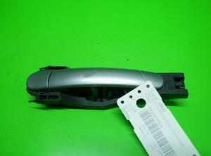 Door Handle VW Polo (9N), VW Passat Variant (3B5)