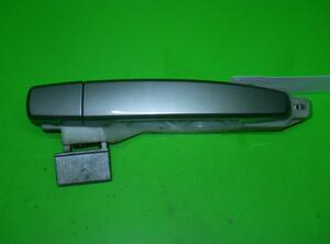 Door Handle CHEVROLET Aveo/Kalos Stufenheck (T250, T255)