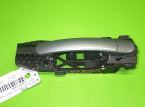 Door Handle VW Tiguan (5N)