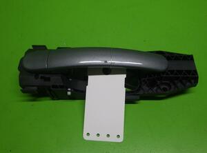 Door Handle VW Tiguan (5N)