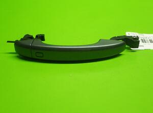 Door Handle AUDI Q3 (8UB, 8UG), AUDI A4 Allroad (8KH, B8), AUDI A4 Avant (8K5, B8)