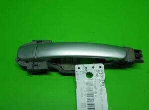 Door Handle SEAT LEON (1M1), VW PASSAT (3B2)