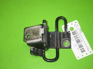 Door Hinge AUDI A4 Avant (8ED, B7)