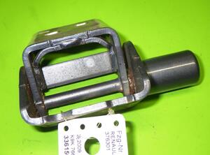 Door Hinge RENAULT CLIO III (BR0/1, CR0/1)