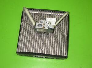 Airconditioning Verdamper VW Polo (9N)