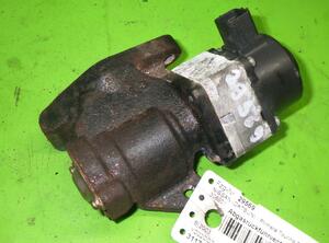 EGR Valve NISSAN Primera Kombi (WP12), NISSAN Pathfinder III (R51)