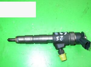 Injector Nozzle PEUGEOT 206+ (2L, 2M), FORD Fiesta VI (CB1, CCN)