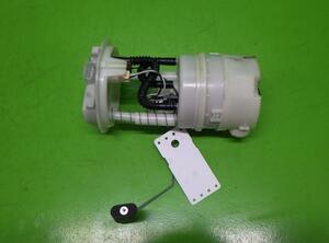 Fuel Pump RENAULT Clio III (BR0/1, CR0/1), RENAULT Clio IV (BH)