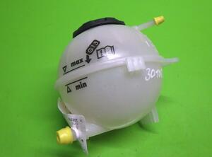 Coolant Expansion Tank SKODA Fabia III (NJ3), VW Polo (9N)