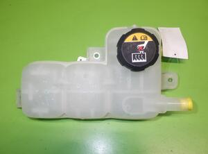 Coolant Expansion Tank HYUNDAI Ioniq (AE)