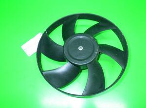 Radiator Electric Fan  Motor SEAT Ibiza II (6K1)