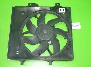 Radiator Electric Fan  Motor PEUGEOT 207 (WA, WC)