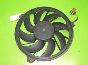 Elektrische motor radiateurventilator PEUGEOT 206 Hatchback (2A/C)