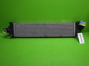 Intercooler FORD Focus II Turnier (DA, DS, FFS)