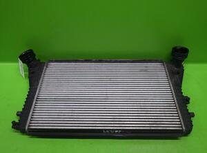 Intercooler VW Golf Plus (521, 5M1)