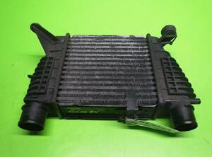 Intercooler RENAULT Modus/Grand Modus (F/JP0)