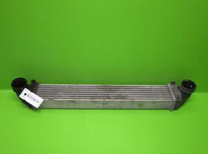 Intercooler MERCEDES-BENZ A-Klasse (W169)