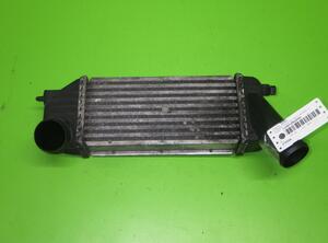 Intercooler CITROËN Xsara Break (N2), PEUGEOT 307 Break (3E), PEUGEOT 307 SW (3H)