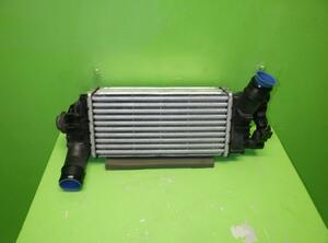 Intercooler FORD Puma (--)