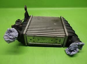 Intercooler VW Polo (9N)