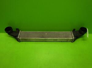 Intercooler MERCEDES-BENZ E-CLASS T-Model (S211)