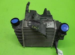 Intercooler VW POLO (9N_)