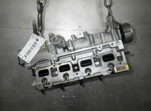 Cylinder Head VW TIGUAN (5N_)