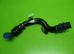 Charge Air Hose FORD Focus (DAW, DBW)