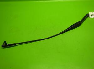 Wiper Arm FORD FOCUS II (DA_, HCP, DP)