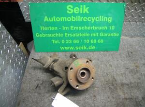 Stub Axle PEUGEOT 206 Schragheck (2A/C)