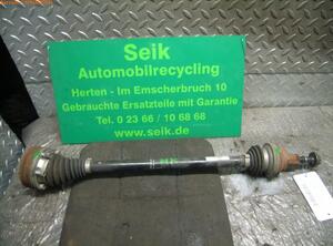 Drive Shaft VW TIGUAN (5N_)