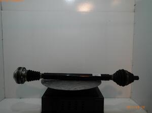 Drive Shaft VW GOLF PLUS (5M1, 521)