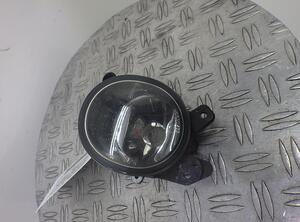 Fog Light MERCEDES-BENZ A-KLASSE (W169)