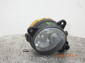 Fog Light SKODA FABIA II (542)