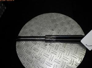 Bootlid (Tailgate) Gas Strut Spring RENAULT TWINGO II (CN0_)