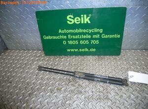 Gasveer kofferruimte FIAT MULTIPLA (186_)