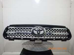 Radiator Grille TOYOTA RAV 4 III (A3)