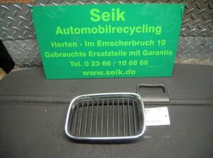 Radiator Grille BMW 3 Compact (E36)