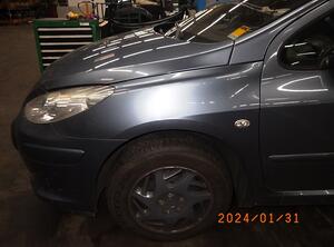 Wing PEUGEOT 307 Break (3E), PEUGEOT 307 SW (3H)