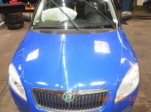 5341834 Motorhaube SKODA Fabia II (542) 5J0823031A