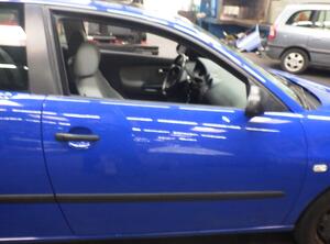 Door SEAT Ibiza III (6L1)