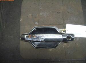 Door Handle HYUNDAI TERRACAN (HP)