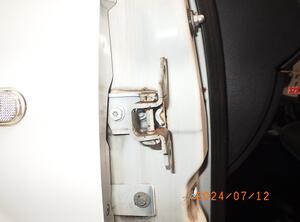 Door Hinge RENAULT TWINGO II (CN0_)