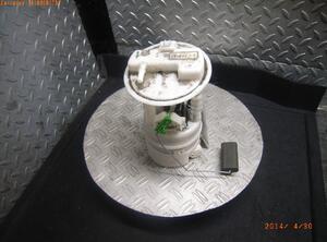 Fuel Pump RENAULT CLIO III (BR0/1, CR0/1)